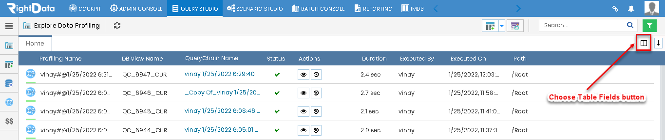 Explore Data Profiling – RightData